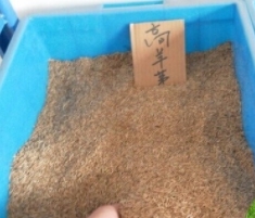 使用煙臺(tái)海藻酸鈉的應(yīng)用都有哪些范圍？